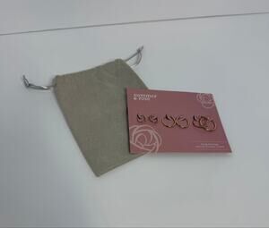 Summer & Rose Gold Tone Hoop Earrings Set 3 Pairs FabFitFun NWT with Pouch